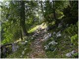 Planina Blato - Vrh Hribaric